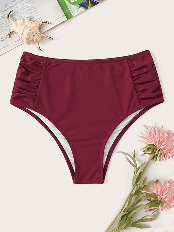 Polychromatic High Waisted Pleated Bikini Pants