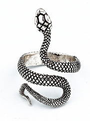 Vintage Asymmetric Silvering Snake Ring