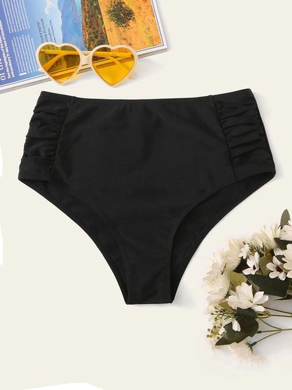 Polychromatic High Waisted Pleated Bikini Pants